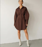 LONG SLEEVE PLEATED ELEGANT DRESS