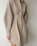 LONG SLEEVE PLEATED ELEGANT DRESS