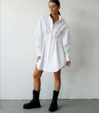 LONG SLEEVE PLEATED ELEGANT DRESS