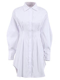 LONG SLEEVE PLEATED ELEGANT DRESS